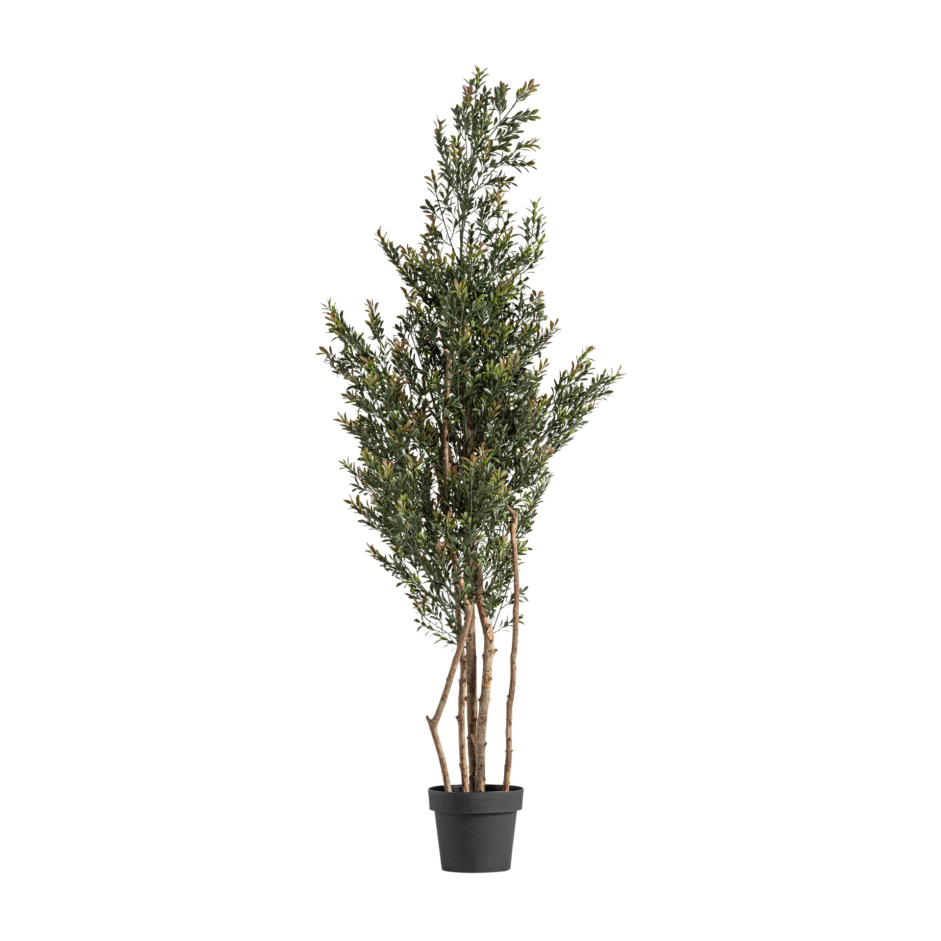 Produse - BOJ PLANT VicalHome 37732
