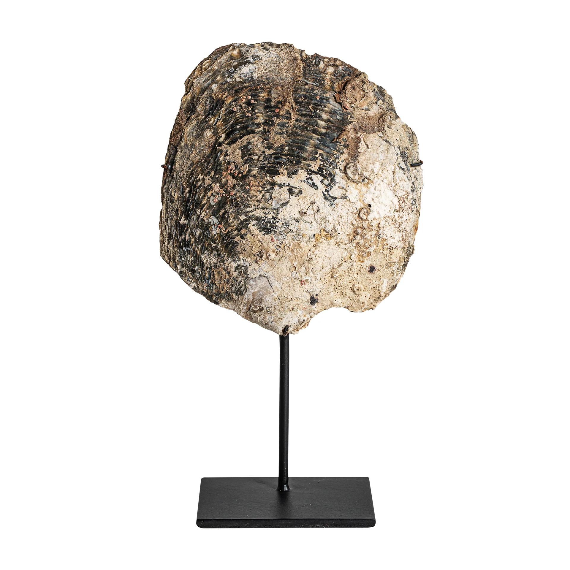 Decoratiuni - FIGURINA DECORATIVA VicalHome 36574