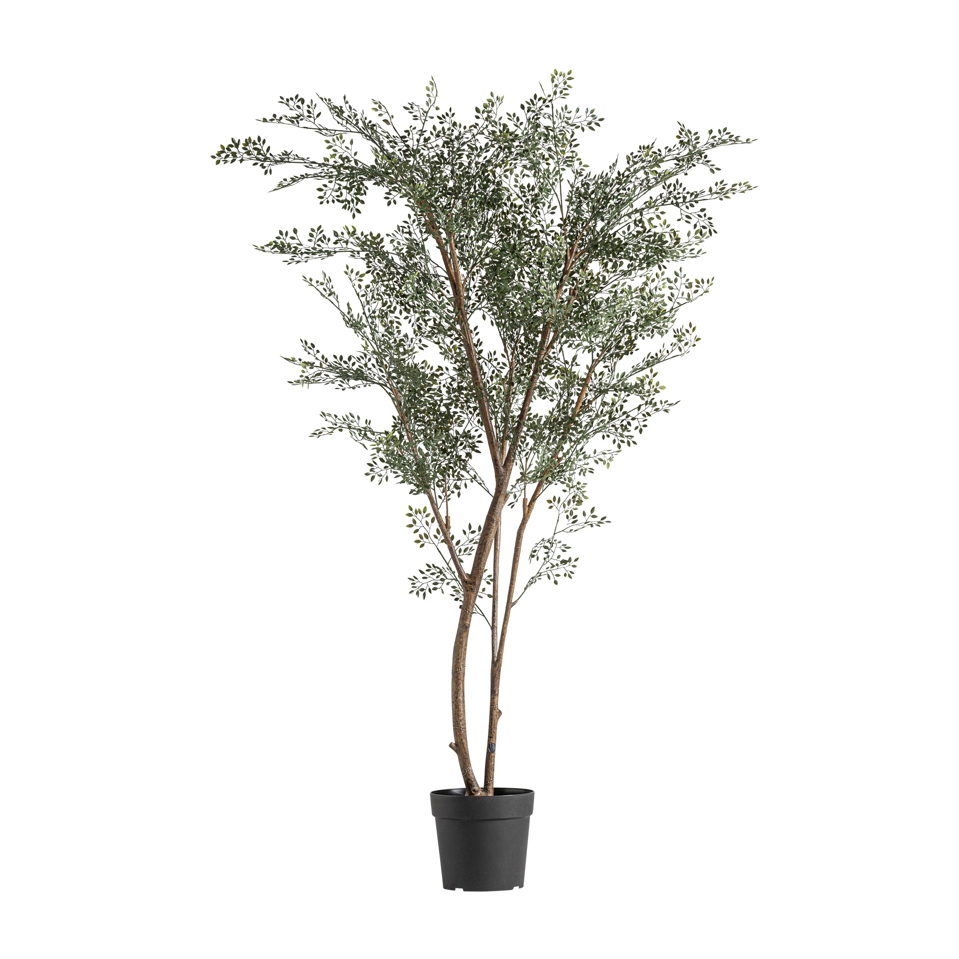 Produse - Planta de eucalipt VicalHome 37734