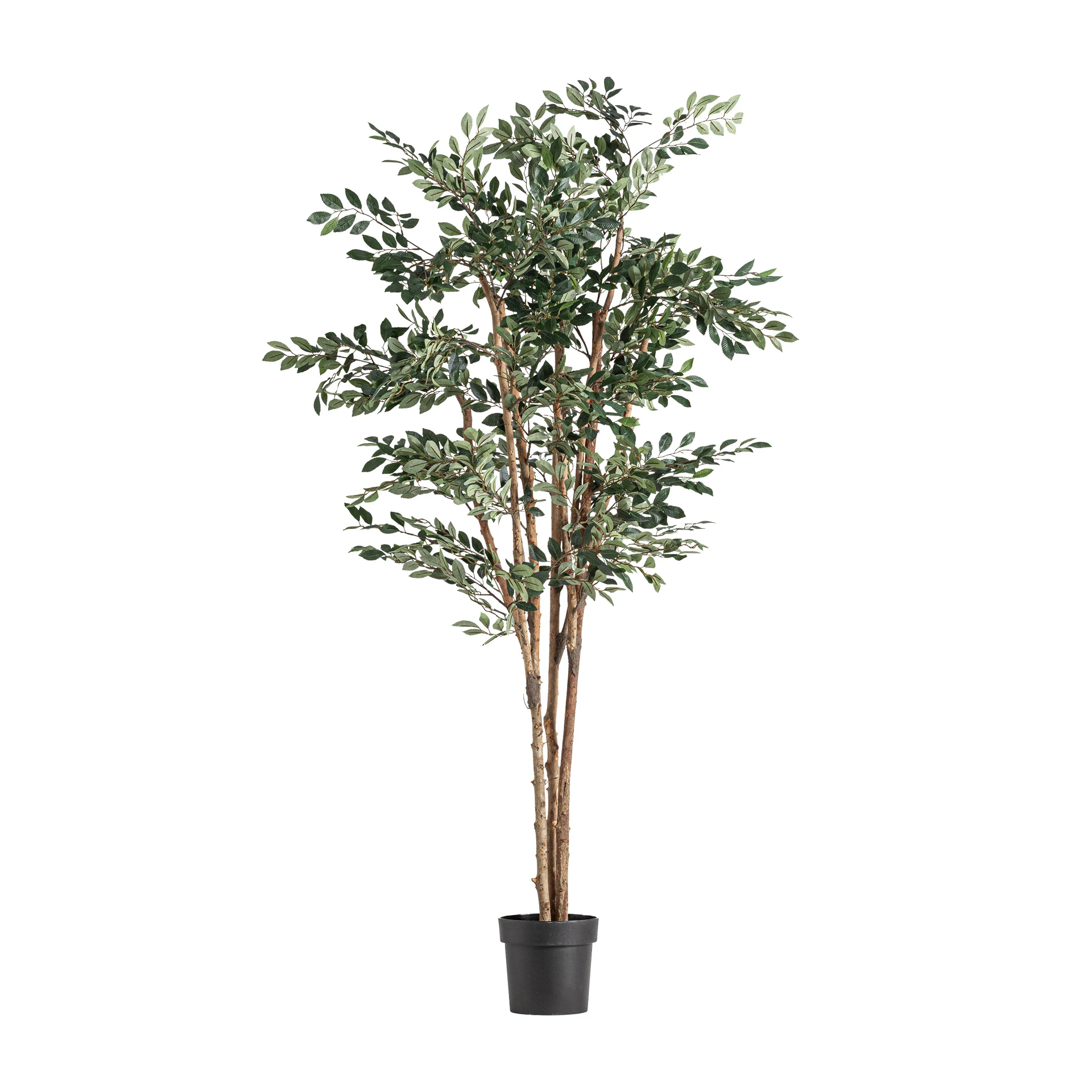 Produse - Planta ficus VicalHome 37730