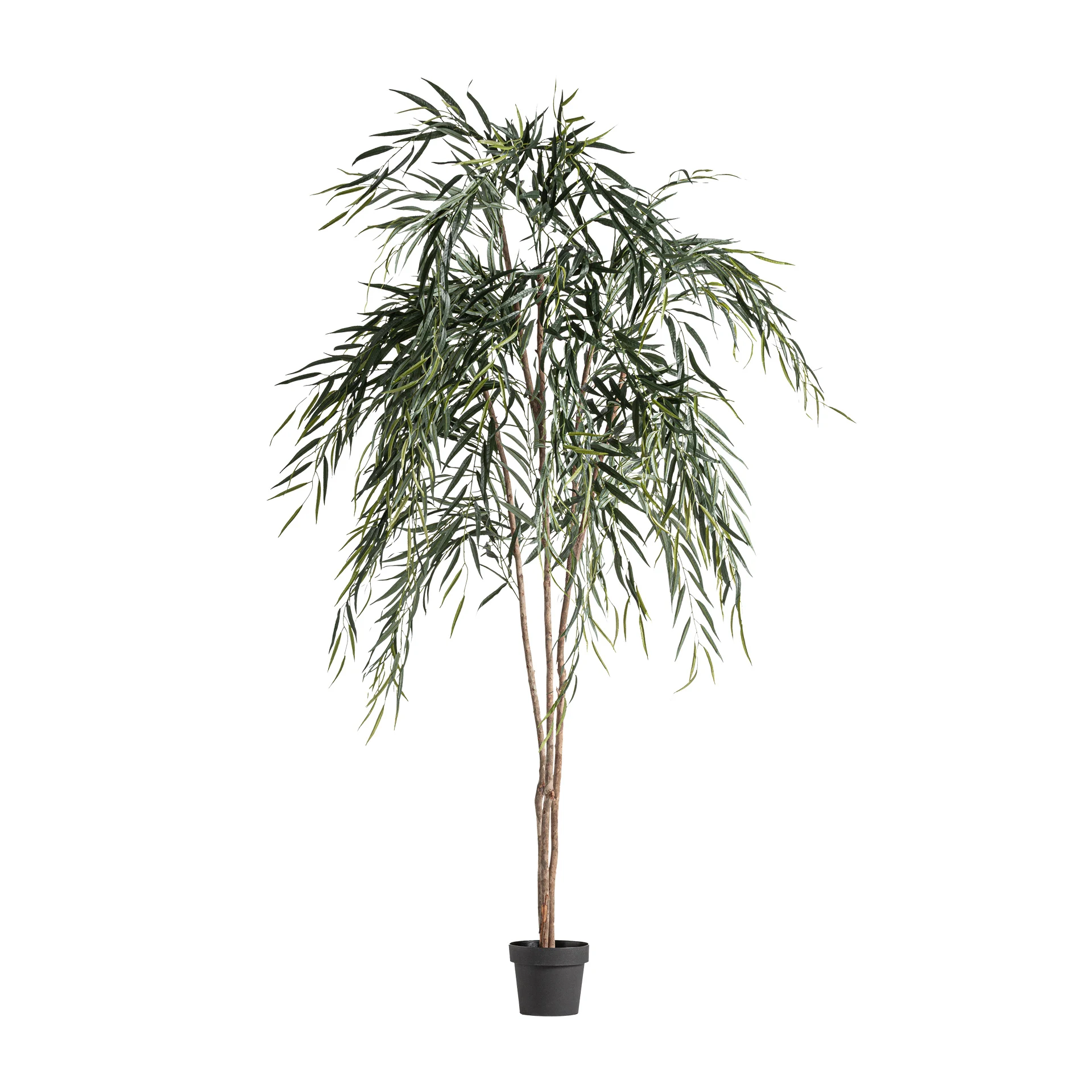 Produse - PLANTA SALCIE VicalHome 37731